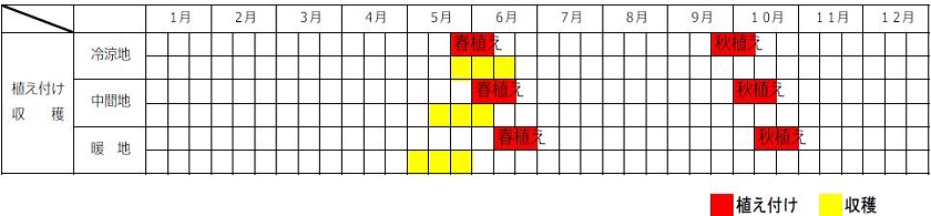 イチゴ栽培カレンダー