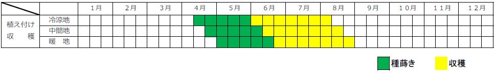インゲン栽培カレンダー