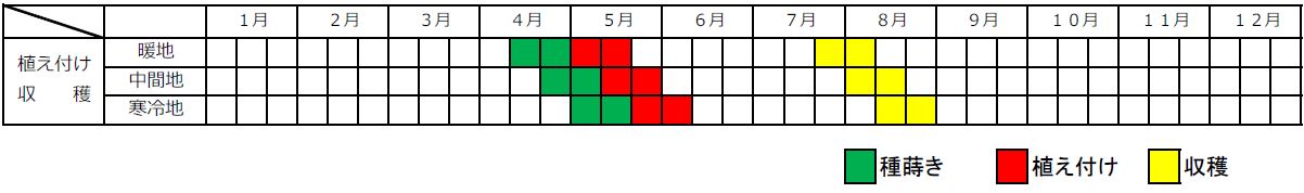 カボチャ植え付け栽培カレンダー