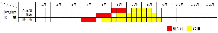 トマト栽培カレンダー
