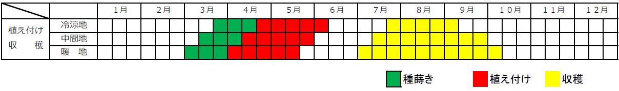 トウガラシ栽培カレンダー