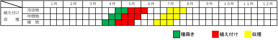 ズッキーニの栽培カレンダー