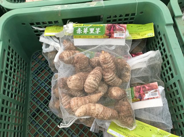 サトイモおすすめの品種