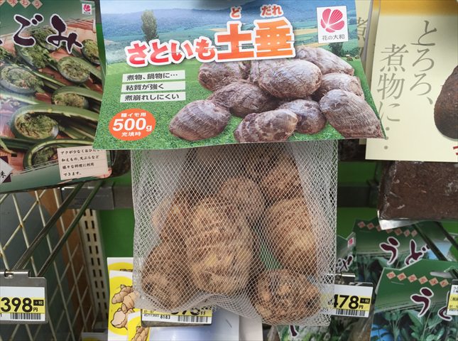 サトイモの種イモの植え付け方