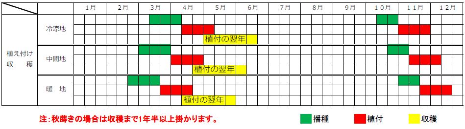 アスパラガスの種植え時期・植え付け時期・収穫時期カレンダー